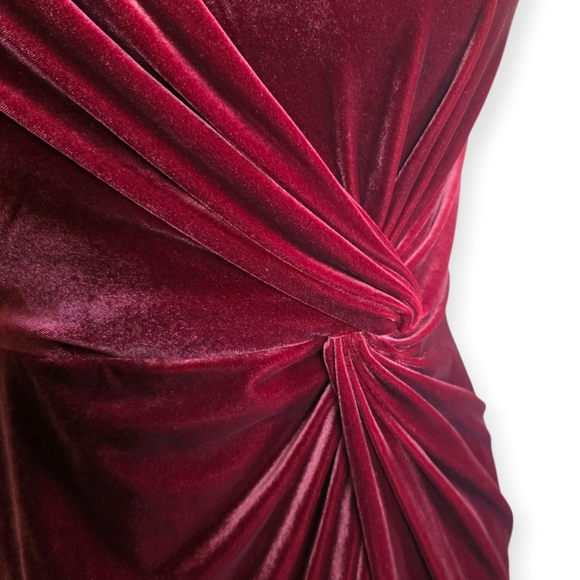 NWT Revelry Aurora Velvet Dress, Romantic Rose, Size 12 - Picture 9 of 16